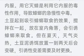 网上说土豆+硼酸灭蟑螂很有效，是真的吗？图片