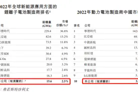 锂电池企业瑞浦兰钧IPO：毛利率远低于宁德时代，近三年皆亏损图片