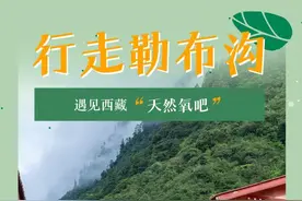 喜马拉雅纪行|行走勒布沟，遇见西藏“天然氧吧”图片