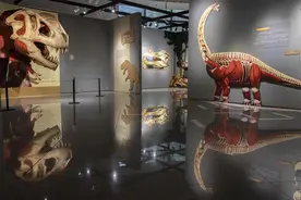 震撼！恐龙立体绘本变身沉浸式展览，就在市群艺馆图片