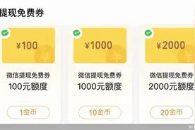 免费额度上万！微信支付新推“大额提现免费券”，用处有多大？图片