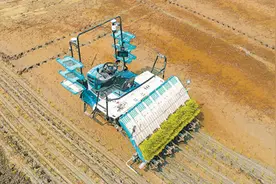 这个“三夏”，田间满满“科技范儿”图片