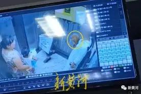 “向我的狗道歉！”不栓狗绳的狗主人，在电梯里因宠物狗被叫“畜生”怒了？图片
