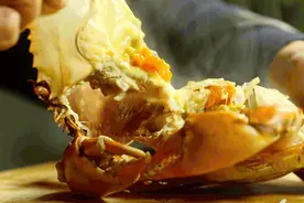 八爪竟在盐碱地“横行”，鲜哒哒的三门出圈，沿着丝路养青蟹图片