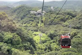 深圳福田牵手惠州博罗：大湾区“百行千企”赴景踩线，众人齐赞魅力博罗图片