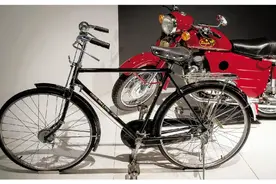 当年一辆可抵半年工资！凤凰自行车再次“潮”出圈，想要“涅槃”并不易图片