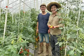 溧阳：守护老种子的“种子猎人”图片