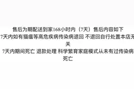 网购的宠物狗养几天就死？专家提醒：务必查验免疫证明！图片