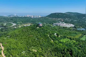 航拍盛夏枣庄凤鸣公园 湖水碧绿草木葱茏图片