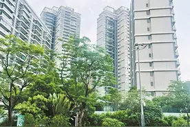 越秀万博瑞麓府：广东番禺中学实验学校已启用一年图片