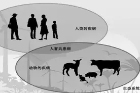 人兽共患病知识普及图片