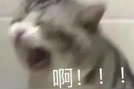 300辆大巴免费乘坐！五月天演唱会出行攻略戳这里图片