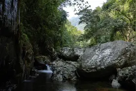 西南寻源十余年 农夫山泉在广西落地第12个水源地图片