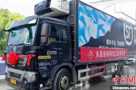 浙江永嘉杨梅首次出口海外 每公斤售价约50欧元图片