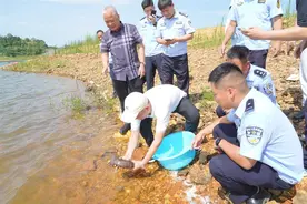 蕲春救助一条3公斤重娃娃鱼，专家称这条野生大鲵至少10年以上图片