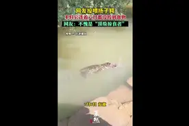 网友投喂扬子鳄，不料它连着六口都没咬到食物图片