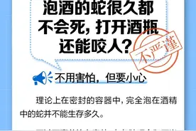 泡酒的蛇很久都不会死，打开酒瓶还能咬人？真相→图片