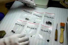 国内首次发现！广东学生又立功了图片