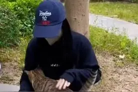 毕业将学校流浪猫带回家？ 有高校今年至少7只流浪猫被学生带走 专家提醒收养注意事项图片