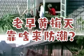 闲话上海 | 老早黄梅天 靠啥来防潮？图片