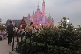 专属烟花位竟是花坛一角？迪士尼乐园现“带玩导游”，花数千元后游客直呼被骗图片