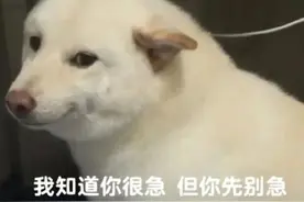 进来看看！你的录取通知书到哪儿啦图片