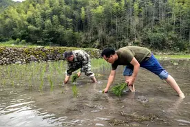 潮就业①浙大硕士跑到丽水当村官，第一次进村还遭嫌弃，可他坚持了10年图片