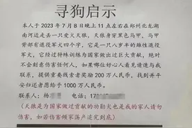 “悬赏1000万寻狗”最新消息：狗已找到，实际只给了5000元图片