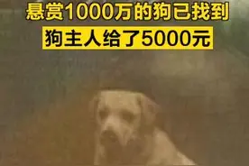 悬赏1000万的狗已找到，狗主人给了5000元图片