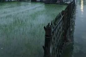 写点生活 | 夜宿农村老家图片