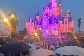 专属烟花位？免排队？上海迪士尼现带玩导游，花数千元后游客说被骗图片