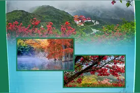 长图丨走，湘江源头纳凉去——到永州感受22℃的夏天图片