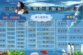 海洋馆最新表演时间表请查收！图片