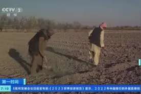全球多地遭遇极端高温！北极圈附近国家，气温将达30℃图片
