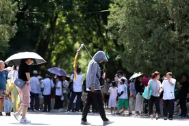 一名北京导游倒在最热暑期，“我们导游天天这么熬”图片