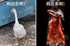 热冒烟啦！中暑就用藿香正气水？错！错！错！丨贤医健康说图片
