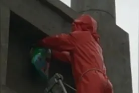 果然视频|大量马蜂在景区牌坊处筑巢，消防搭梯清除图片