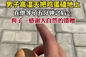 男子高温天把鸡蛋磕地上，在他等了五分钟之后…狗子：感谢大自然的馈赠。图片