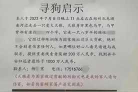 “千万元寻狗”背后疑有推手：启事电话无人接，相关公号被指有问题图片