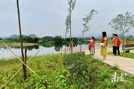 连州镇人大代表现场调研，擦亮三江河公园绿美底色图片