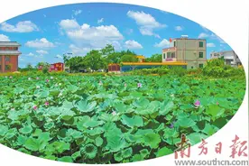 内外兼修让“美丽经济”蓬勃兴起图片