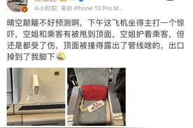 飞机剧烈颠簸有空姐乘客被甩到舱顶？亲历者讲述图片