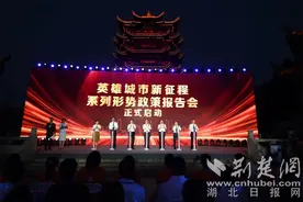 传承千年文脉勇当高质量发展排头兵 武昌：主攻“双碳”产业和数字经济转型突破图片