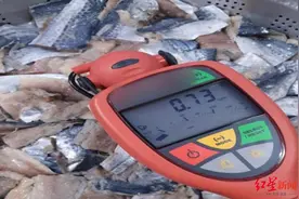 买鱼先测核辐射，“便携式放射性检测仪”在韩销售火爆！又是智商税？图片