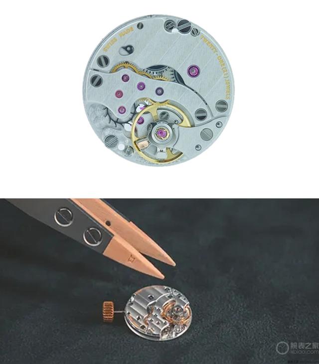 ��ֻ��С�����������ǿ�����2023��ġ���ը������ֵ��ʮ��