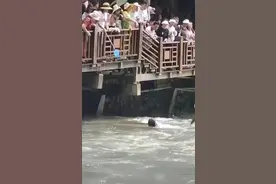 惊险！女子在景区落水被激流冲走，该景区曾发生多起图片