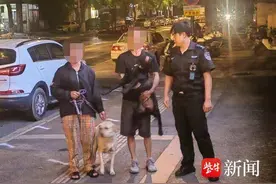 两只拉布拉多犬从江宁跑到秦淮区，狗主人找了10个小时图片