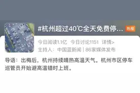 这里气温超过40℃全天免费停车，网友直呼“可以有”图片