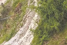 晋江磁灶湖头村：水泄土路坑坑洼洼 村民出门磕磕绊绊图片