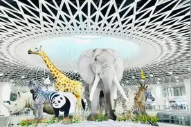 快看！神奇动物，在深圳地铁里→图片